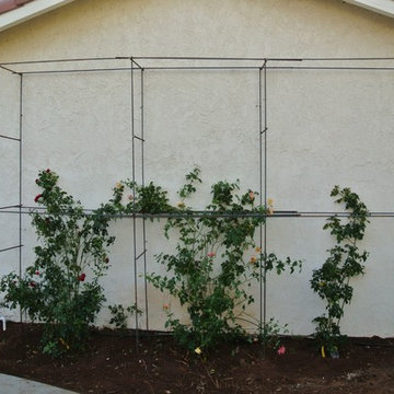 Singing Hills drought tolerant landscape