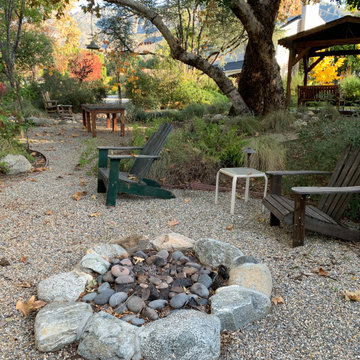 California Craftsman Forest - 5 Years Later