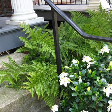 Fragrant in June