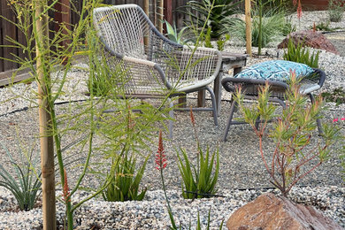 Foto de jardín de secano moderno de tamaño medio en patio trasero con exposición total al sol y gravilla
