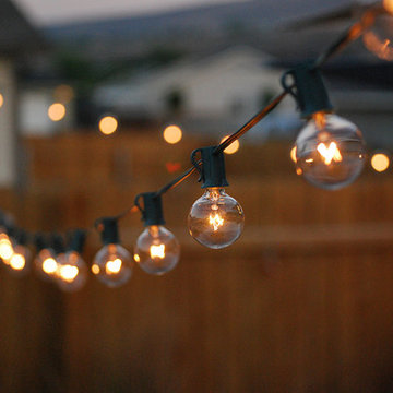 *NEW* Festive Lights!