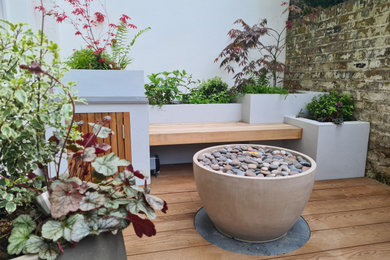 Design ideas for a small modern courtyard partial sun garden wall for summer in London.