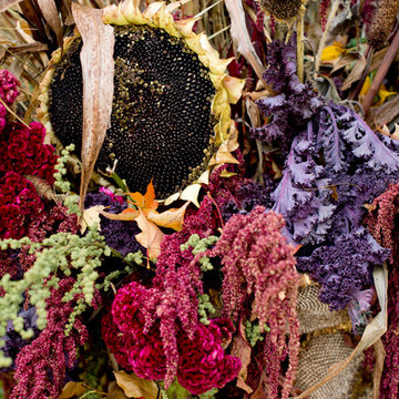 Houzz TV: Take a Leaf-Peeping Road Trip in New England