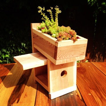 Green Roof Birdhouse