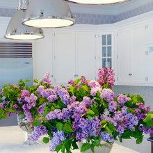 Light Fixtures