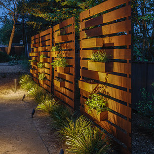 Großer, Halbschattiger Mid-Century Garten hinter dem Haus mit Spielgerät in San Francisco