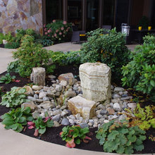 960 Stockley Street - landscaping