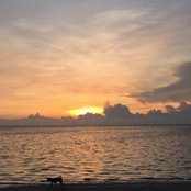 Eddie Aw's photo