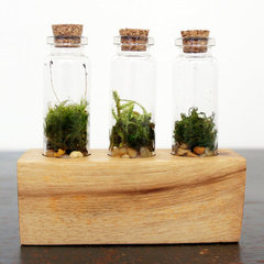 Moss + Twig