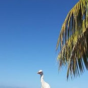 Ginger Brien's photo