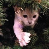 Sally Wooten's photo