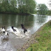 Diane Derbyshire's photo