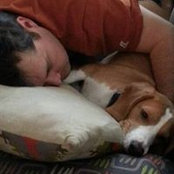 Trevor Davis's photo