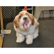 Susan McVey's photo
