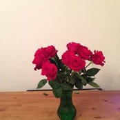 Kristie Quinn's photo