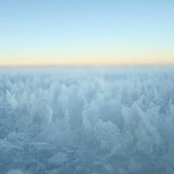 Sergey Batishchev's photo