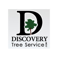 Discovery Tree Ser