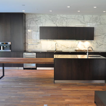 Wicker Park Residence II