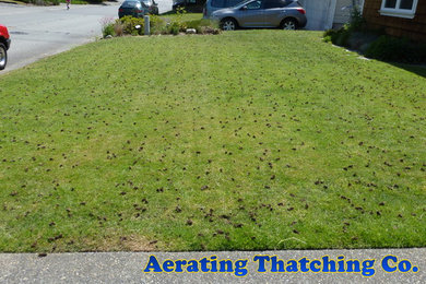 Examples of Lawn Aeration