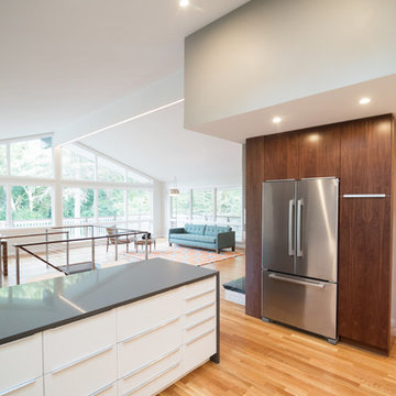 Franklin Modern Kitchen