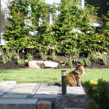 Landscape Ideas 2010