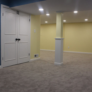 Basement Transformation