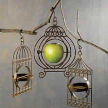 Bird theme
