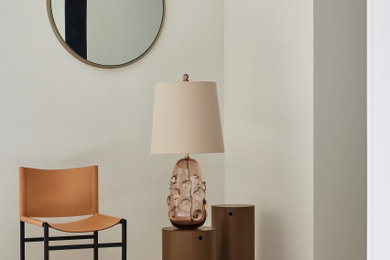 Design ideas for a contemporary entryway in Sydney.