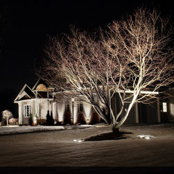 Landscape Lighting - Lighting