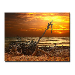 Ready2HangArt - "Shore Escape" Canvas Art By Bruce Bain, 16"x20" - Prints And Posters