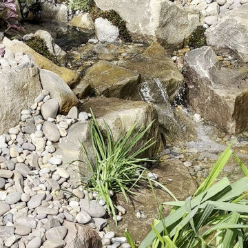 Ecosystem Pond Renovation – Offerton, Stockport