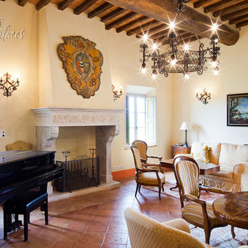 Living Room Fireplaces