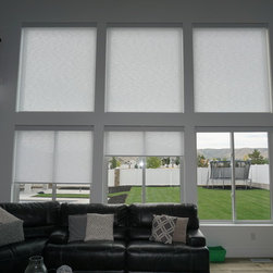 Motorized Roller Shades - Roller Shades