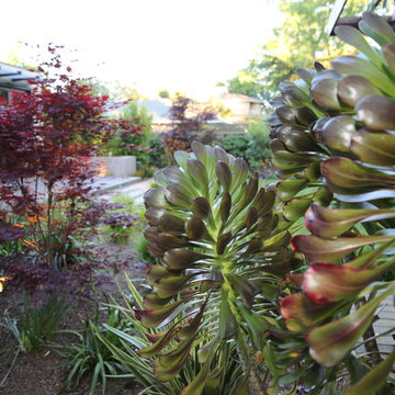 Menlo Park Garden Retreat