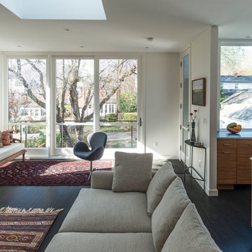 Goldenburg Project