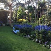 Ann Saxton's photo