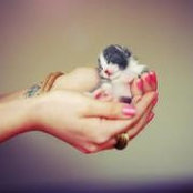 Giuliana Elia's photo