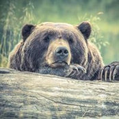 Nacona Nix's photo