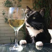 Minnie Shepard's photo
