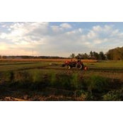 Angela Smith's photo