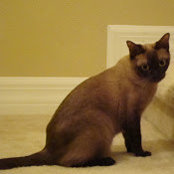 Alan Newman's photo