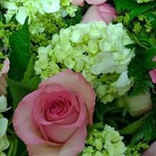 Mary Bush's photo