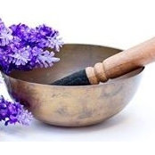 Sylvie Dijoux's photo