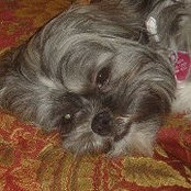 Suzy Wrona's photo