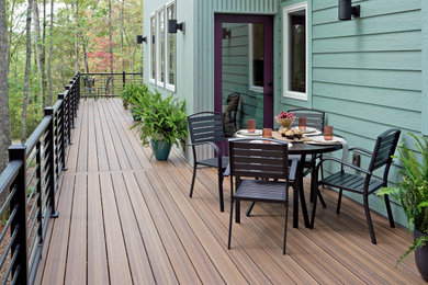 Inspiration for a mid-sized timeless backyard ground level metal railing deck remodel in Other