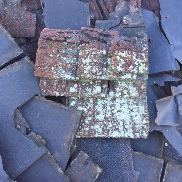 GAF Grand Sequoia Shingles - Plymouth, Michigan