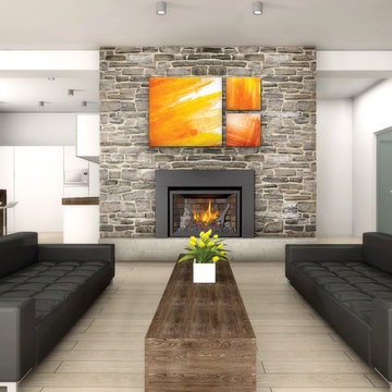 Gas Fireplace Inserts