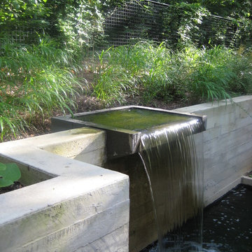 Contemporary Chevy Chase Garden