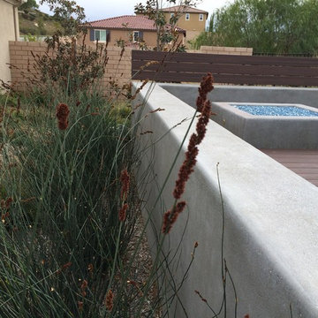 Ornamental Grass
