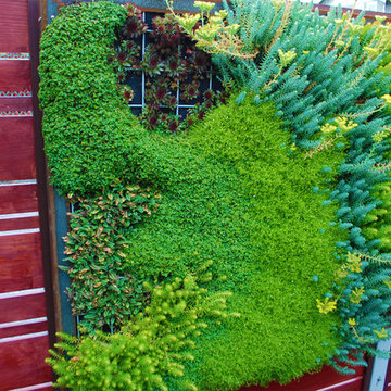Greenlake Patio